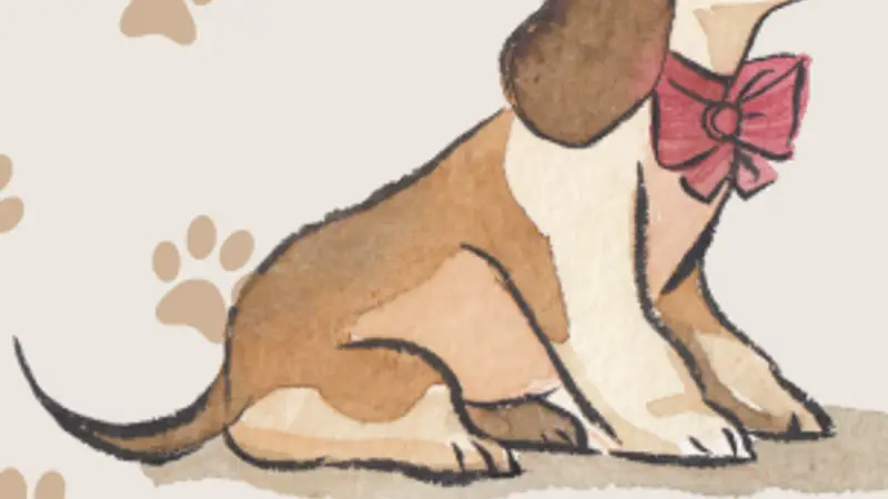 Paws R Us In-Home Mobile Grooming preview