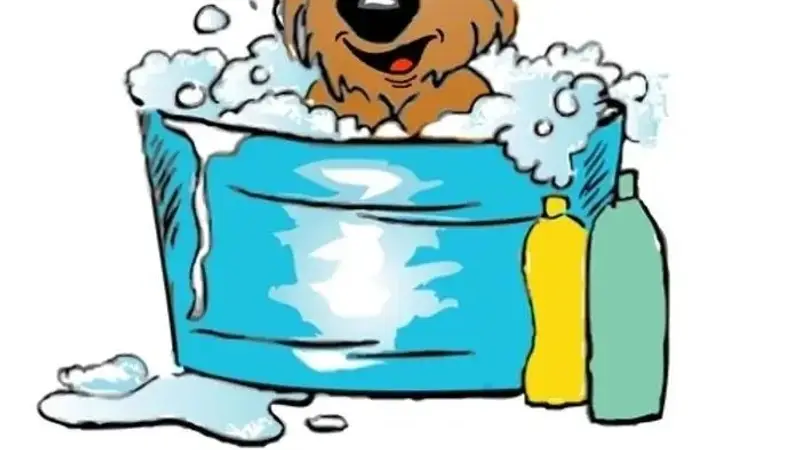 Pupperz Pet Grooming preview