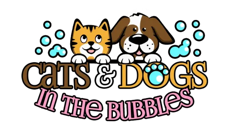 Cats & Dogs in the Bubbles preview