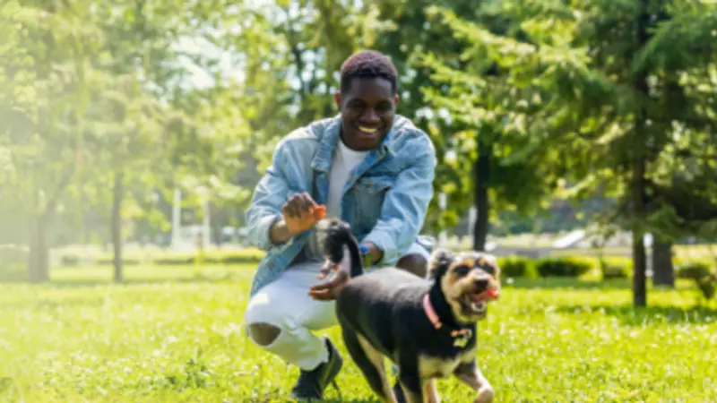 Stuebner Airline Pet Resort & Spa preview