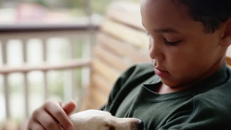 Pet Sitter Columbia preview