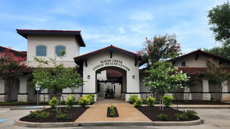 Mayde Creek Animal Health Center preview