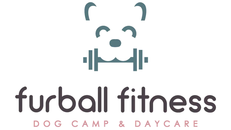 Furball Fitness Oakland preview
