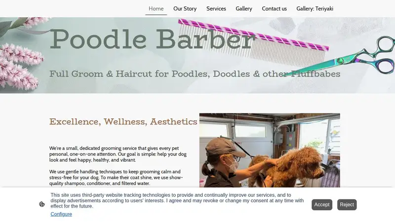 Poodle Barber preview