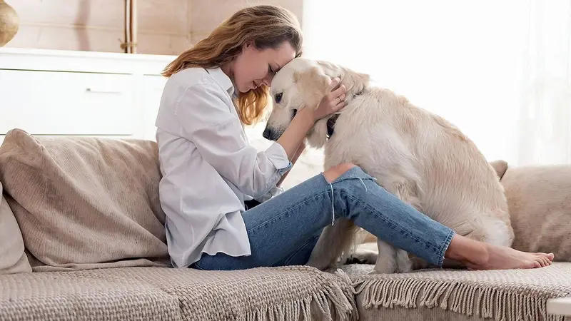 Vet To Pet preview