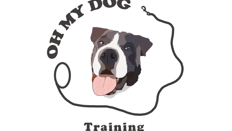 Oh My Dog Training - Behavior and Reactivity preview