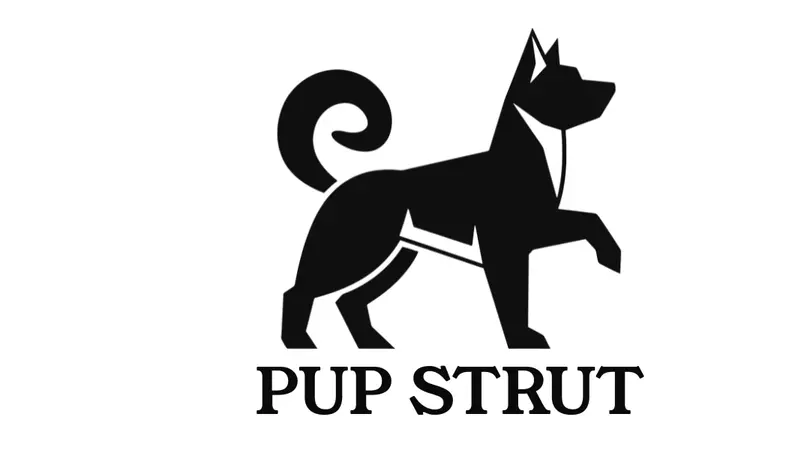 Pup Strut San Francisco Dog Walking preview