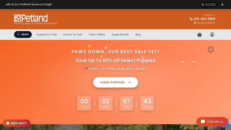Petland Miami preview