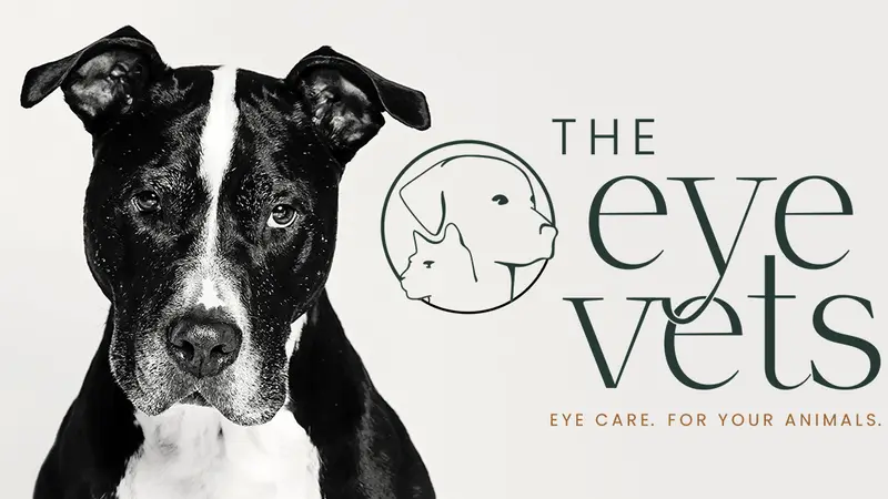 The Eye Vets preview
