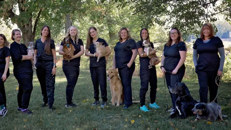Picture Hills Pet Hospital preview
