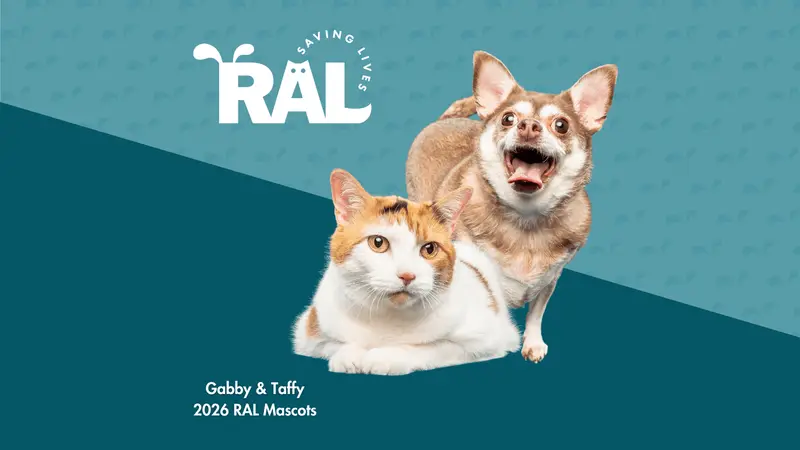 Loving Spay+Neuter Clinic preview