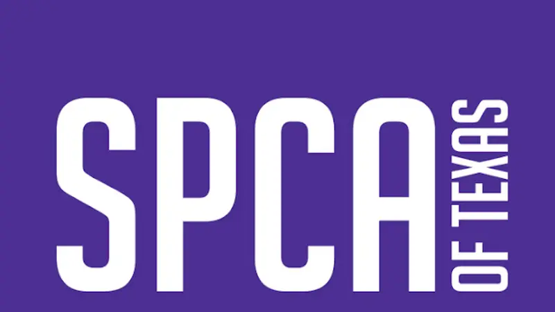 SPCA preview