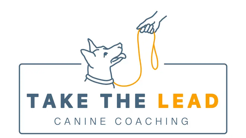 Take the Lead Canine Coaching preview