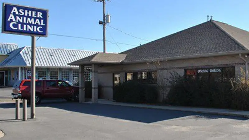 Asher Animal Clinic preview