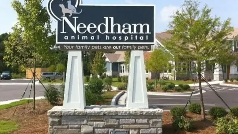 Needham Animal Hospital preview