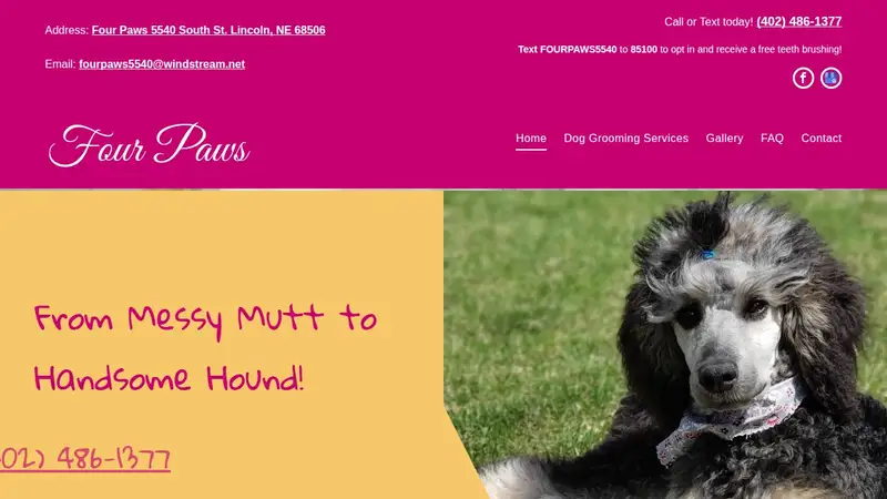 Four Paws preview