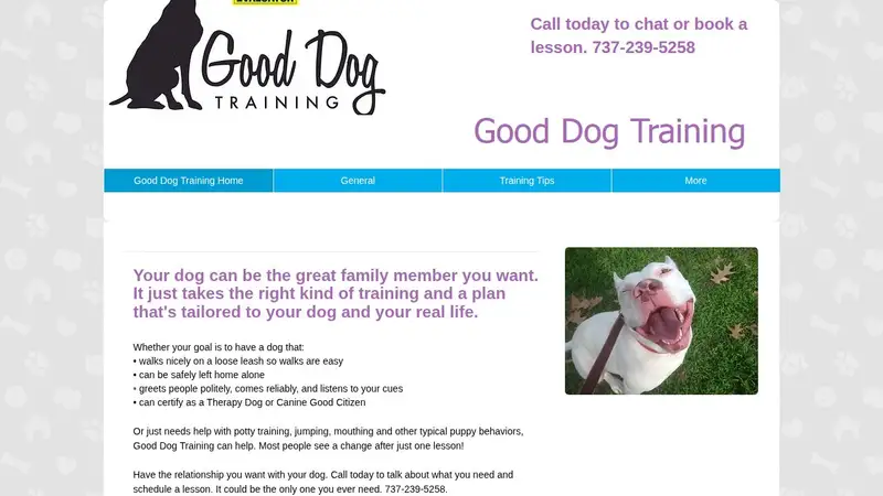 Good Dog Training preview