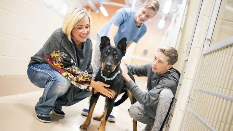 Spca Low Cost Spay Neuter Clinic of Reno preview