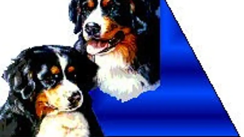 Woofermutt LLC Dog Training preview