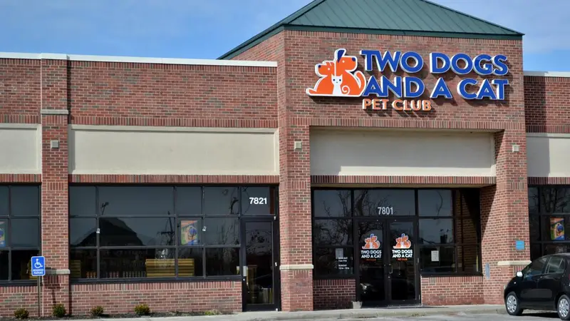 Two Dogs and A Cat Pet Club preview