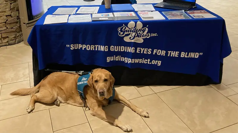 Guiding Paws preview