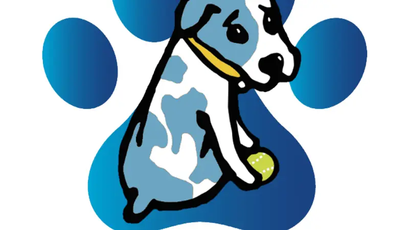Paws To Train Your Dog preview