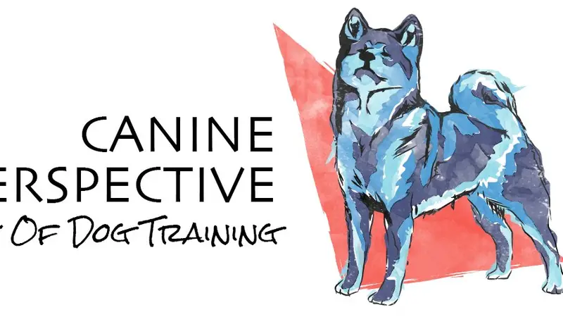 Canine Perspective preview