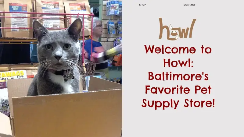 Howl preview