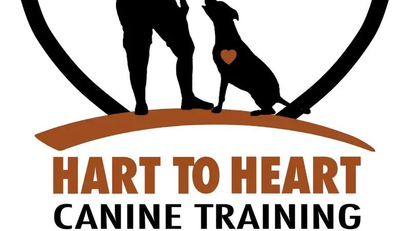 Hart to Heart Canine Training, LLC preview