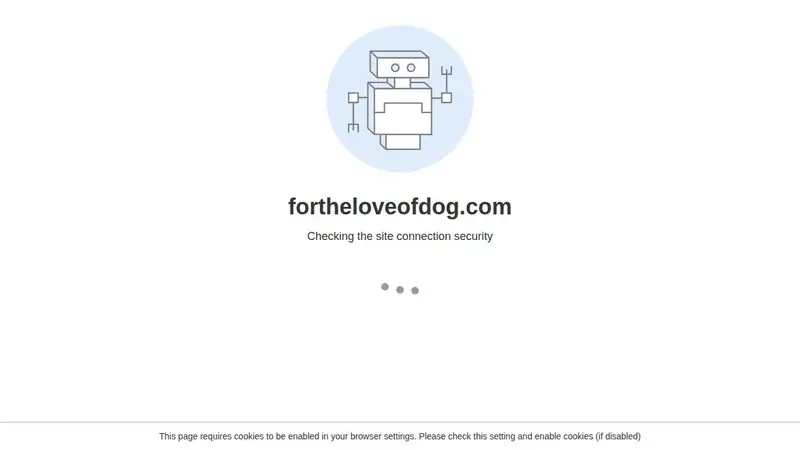 For the Love of Dog preview