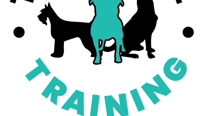 Tail To Tail Training preview