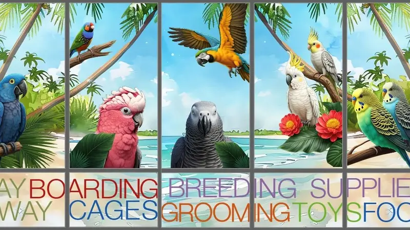 BirdSmart preview