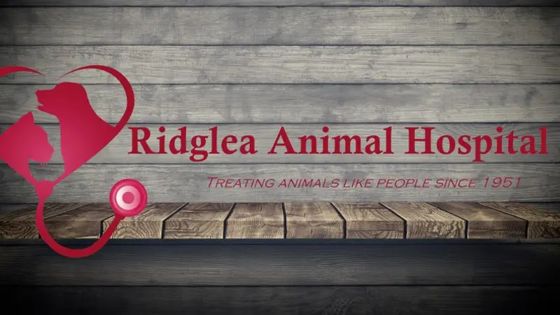 Ridglea Animal Hospital preview