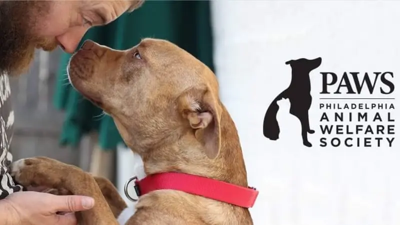 PAWS Spay/Neuter & Wellness Clinic preview