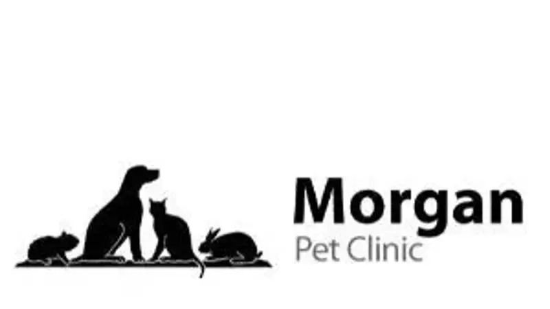 Morgan Pet Clinic preview