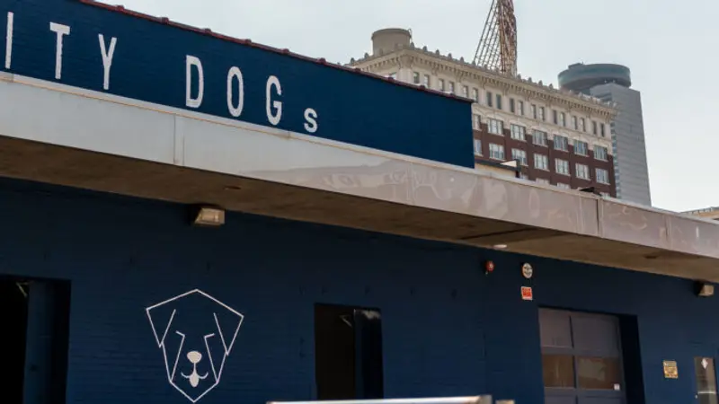 Citydogs preview