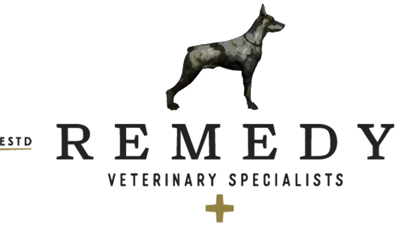 Remedy Veterinary Specialists preview