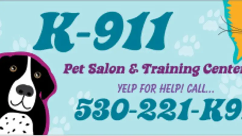K-911 Pet Salon and Training Center preview