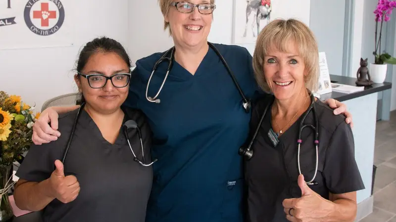 Paradise Point Animal Hospital preview