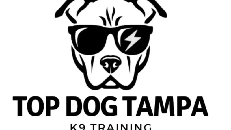 Top Dog Tampa  preview