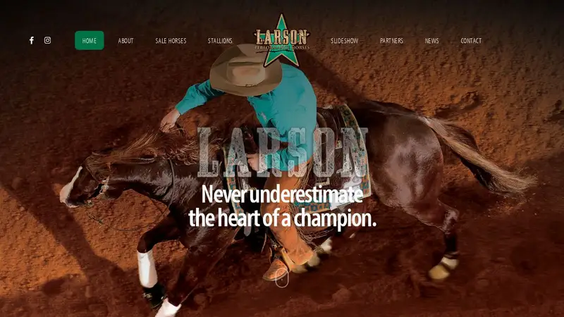 Larson Performance Horses preview