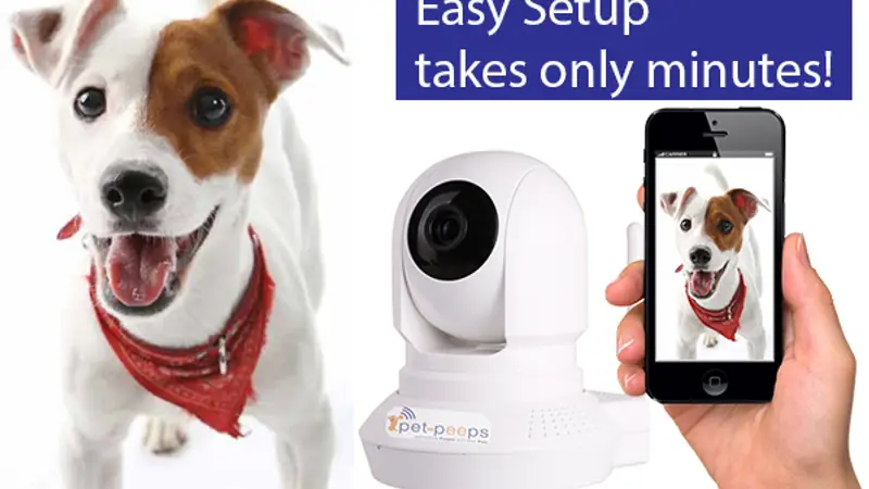 Pet-Peeps.Com preview