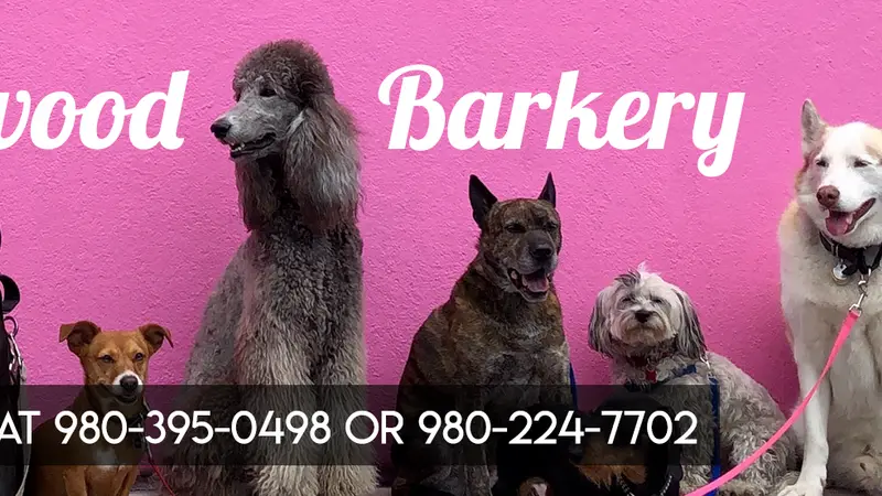 Midwood Barkery preview