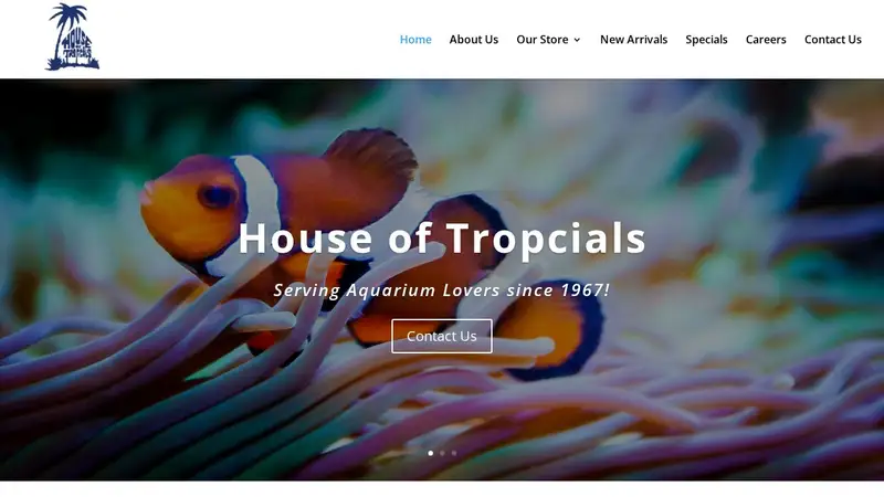 House of Tropicals preview