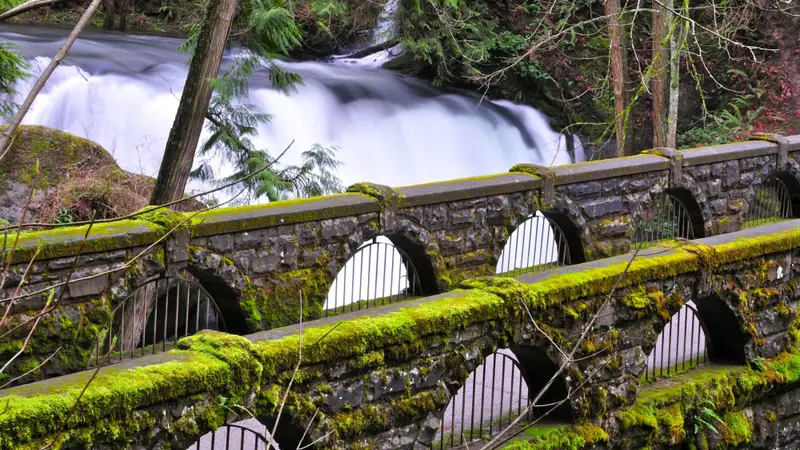 Whatcom Falls Park preview