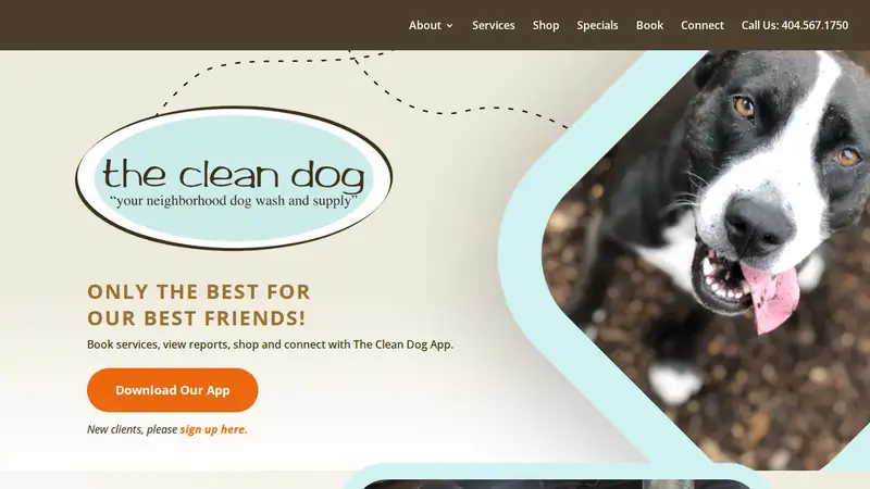 The Clean Dog preview