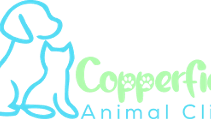 Copperfield Animal Clinic preview