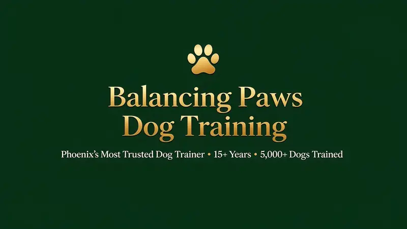 Balancing Paws Dog Training preview