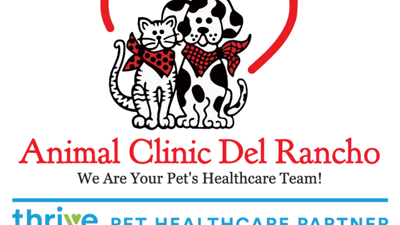 Animal Clinic Del Rancho preview