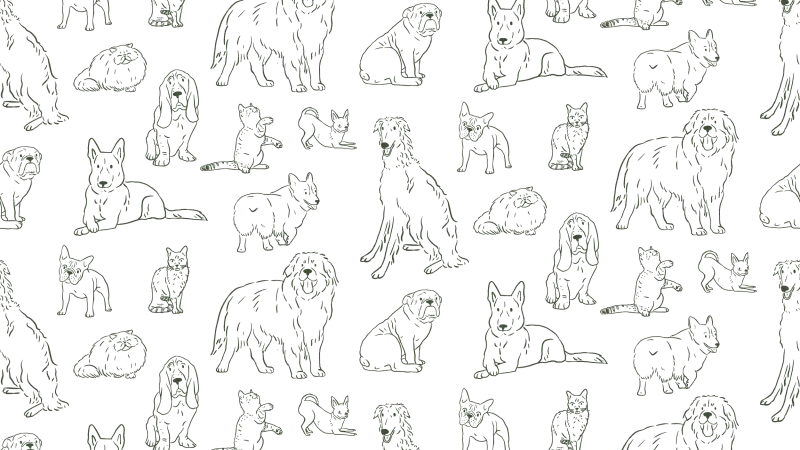 Roots Integrative Veterinary Care preview